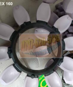 Vong Dem Rotex 160, Spider Rotex 160, Rotex Ktr Coupling 1