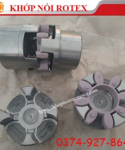 Khớp nối Rotex hub 1-1a, khớp nối KTR, khớp nối trục