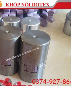 Khớp nối Rotex hub 1a-1b, khớp nối KTR, khớp nối trục
