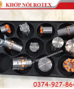 Khớp nối Rotex hub 1b-1b, khớp nối KTR, khớp nối trục