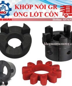 Khớp nối GR – Khớp nối Máy nén khí