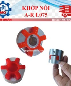 Khop Noi A R L075 Thay The Aryung Pumps