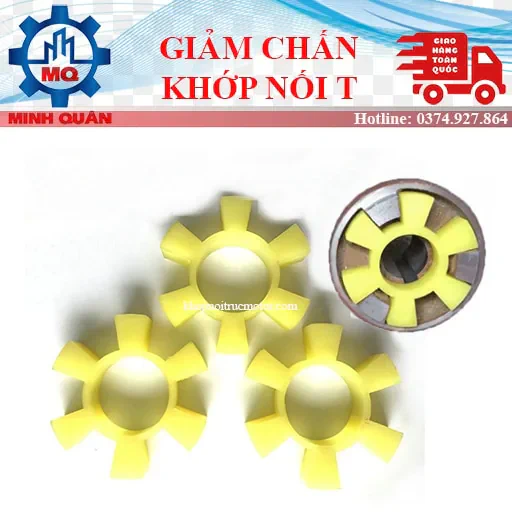 Cao su khớp nối cho pump type T 1 Cao Su Giam Chan Khop Noi T Pump