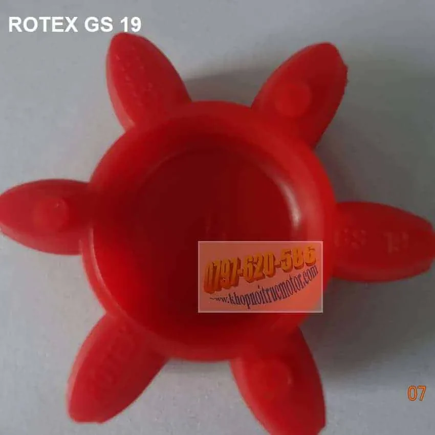 Vong Dem Rotex Gs 19, Spider Rotex Gs 19, Rotex Ktr Coupling
