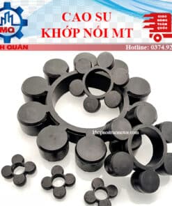 Cao su khớp nối MT máy bơm nước