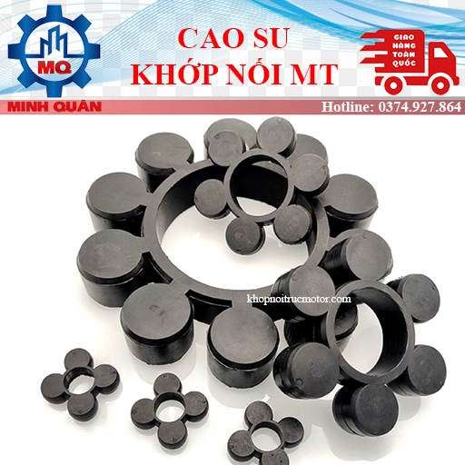 Cao su khớp nối MT máy bơm nước
