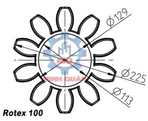 Kích thước vòng đệm Rotex 100 Spider KTR