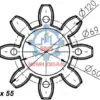 Dimensions Spider Rotex 55