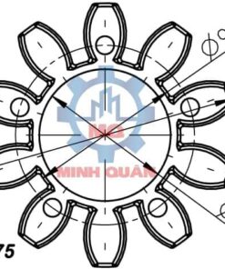 Dimensions Spider Rotex 75