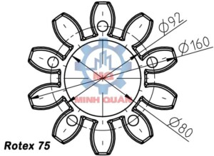 Kích thước vòng đệm Rotex 75 Spider KTR