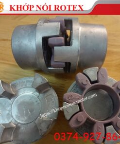 Khớp nối Rotex hub 1-1, khớp nối KTR
