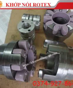 Khớp nối Rotex hub 1-1, khớp nối KTR