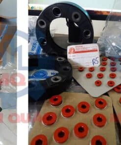 Khop Noi Thuy Luc Westcar Va Fludex Flender