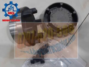 Khớp Nối N Eupex B95, Khop Noi Flender, Flender Coupling, Khop Noi Neupex