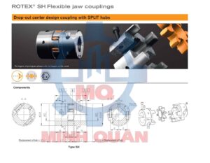 Bv Khop Noi Rotex Ktr With Split Hubs