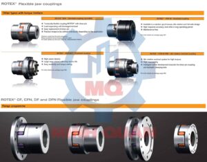 Khop Noi Rotex Ktr With Torque Limiter