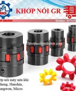 Khớp nối GR – Khớp nối Máy nén khí