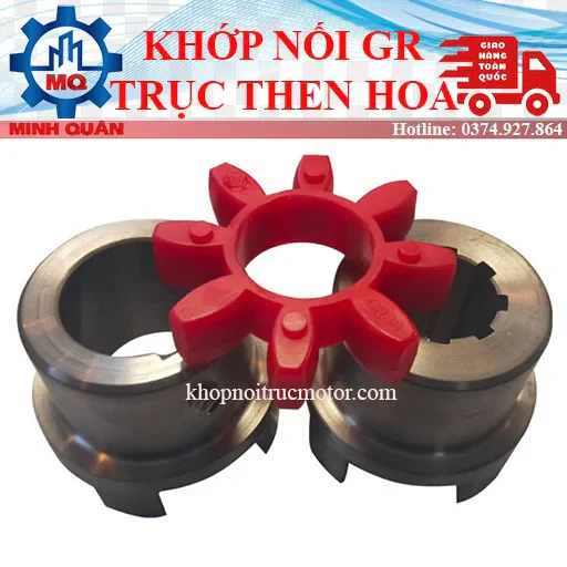 Khớp nối GR - Khớp nối Máy nén khí 10 Khớp nối trục GR then hoa
