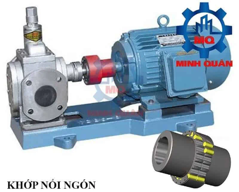 10+ Khớp nối máy bơm nước, bơm thủy lực giá tốt, sẵn kho 28 Khop Noi Ngon Cho May Bom Nuoc