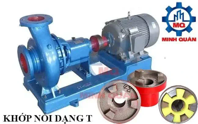 10+ Khớp nối máy bơm nước, bơm thủy lực giá tốt, sẵn kho 9 Khop Noi T Cho May Bom Nuoc