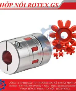 Khop Noi Rotex Gs Hub 2.5