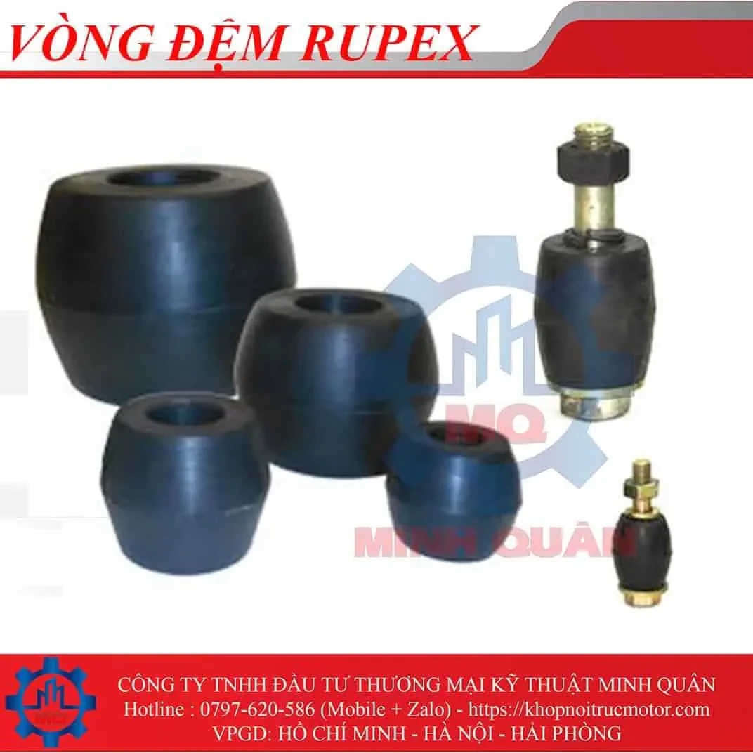 Khớp nối trục Flender Rupex RWS 1 Vong Dem Giam Chan Khop Noi Rupex
