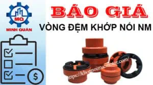 Bảng giá vòng đệm khớp nối NM