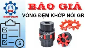 Bảng giá vòng đệm khớp nối GR