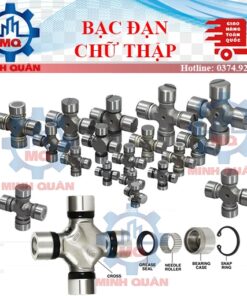 Bac Dan Chu Thap U Joint