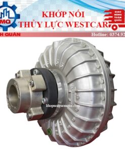 Khop Noi Thuy Luc Westcar Fluid Coupling Italy