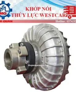 Khop Noi Thuy Luc Westcar Fluid Coupling Italy