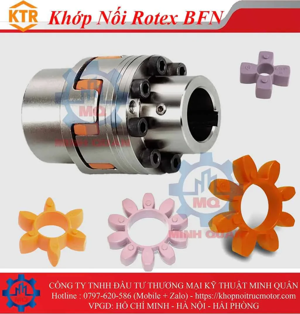 Các loại khớp nối KTR Rotex 1 Khop Noi Rotex Bfn