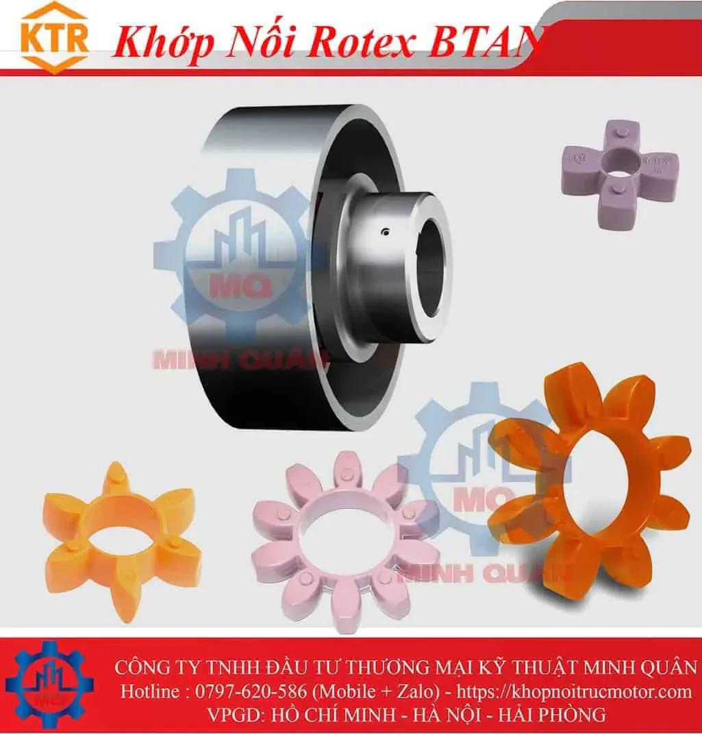 Các loại khớp nối KTR Rotex 14 Khop Noi Rotex Btan