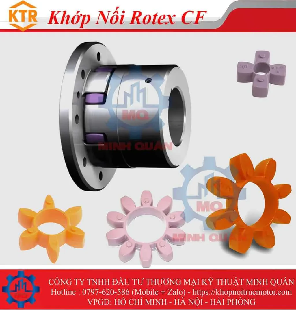 Các loại khớp nối KTR Rotex 19 Khop Noi Rotex Cf