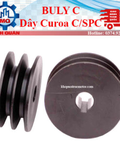 Puly bản C Việt Nam